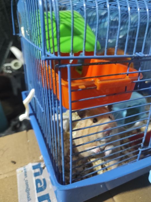 Продам клетку для хомяка.