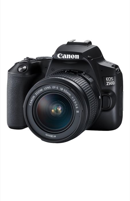 Aparat foto CANON EOS 250 D