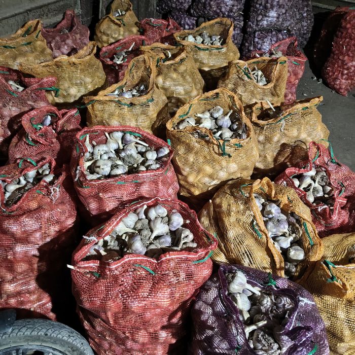 Продам чеснок местный тургенский