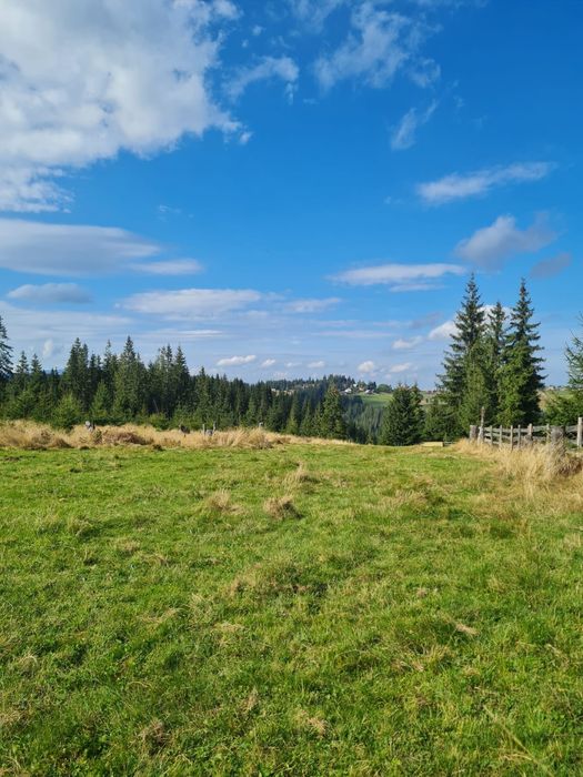 Teren de vânzare Maguri jud Cluj