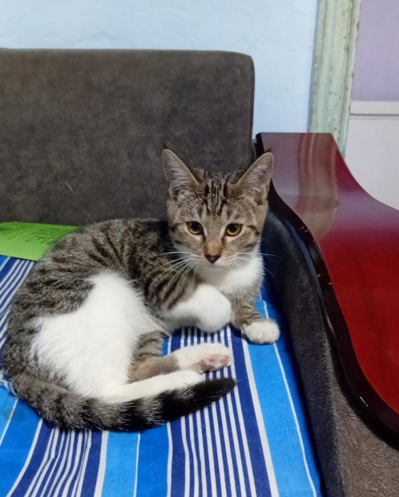 Молодой парнишка ищет дом!