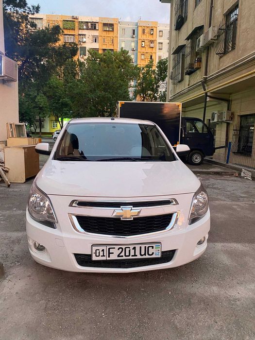 Other Cobalt 2023 — 7