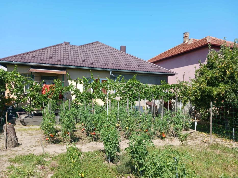 Casa 100m2 cu teren 1300m2, zona centrala