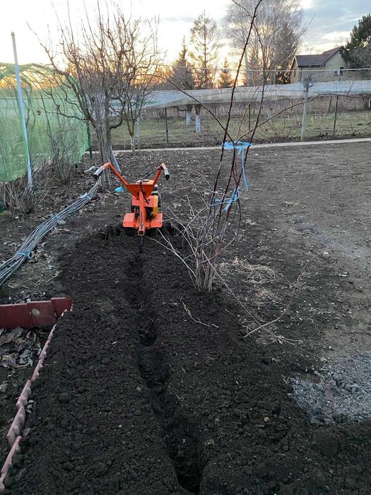 Gradinarit și amenajarea terenului