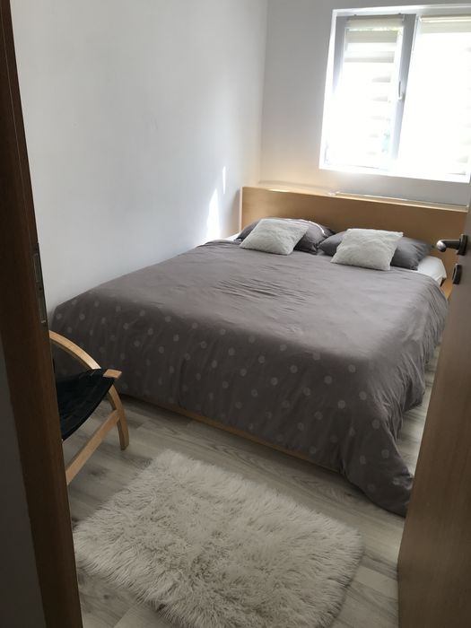 Inchiriez  ap. 3 cam Decebal, et.1