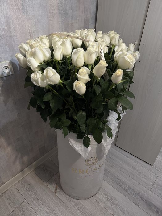 Белый роза кішкене алсыреп тур былаи әдемі