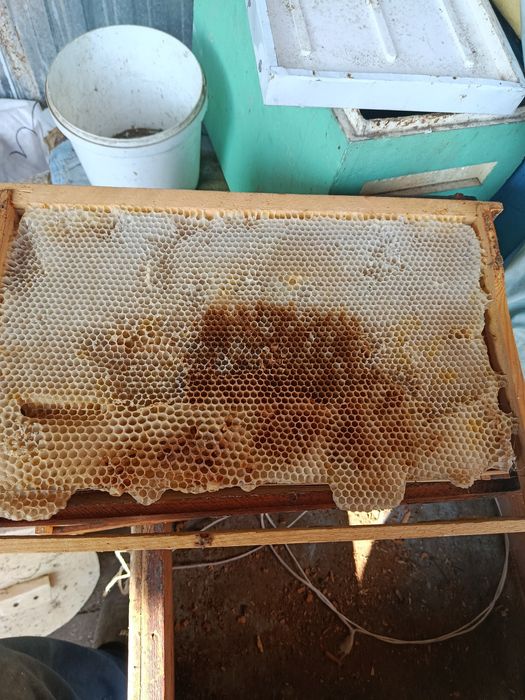 Продам сушь для пчел