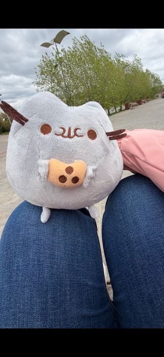 мягкая игрушка пушин ( pusheen )