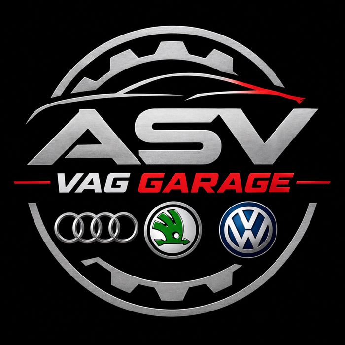 Автоэлектрик Компютерная диагностика VAG VCDS ВАСЯ Odis