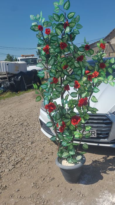 Floare ornamentala 80lei