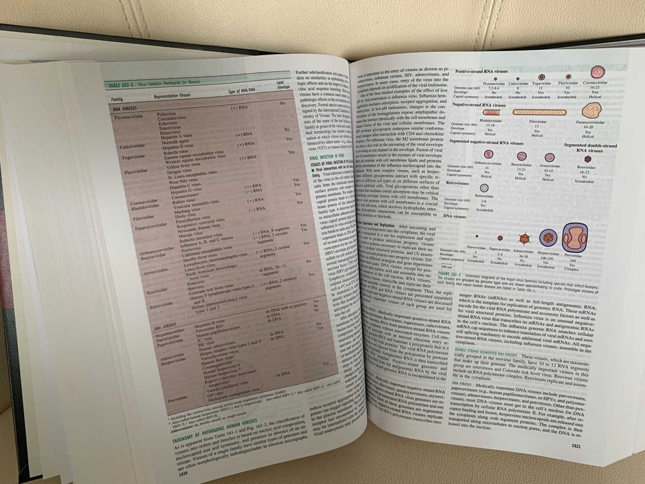 Atlas/tratat Braunwald Harrisson Medicina Interna Rezidentiat ed16 NOU