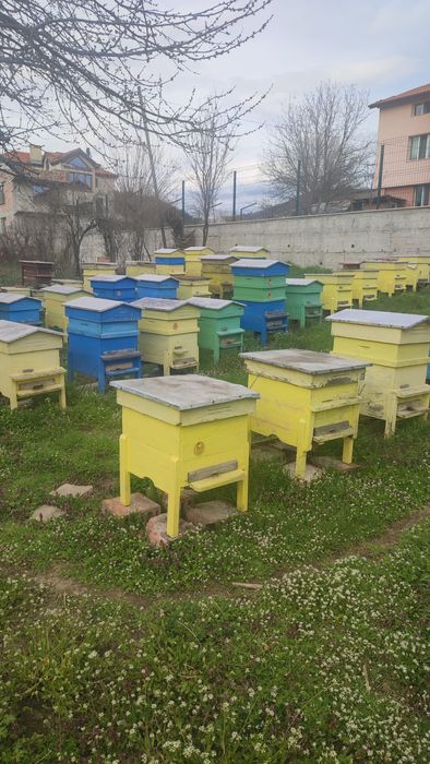 Пчелни кошери 10-рамкови - собствена изработка (без пчели)