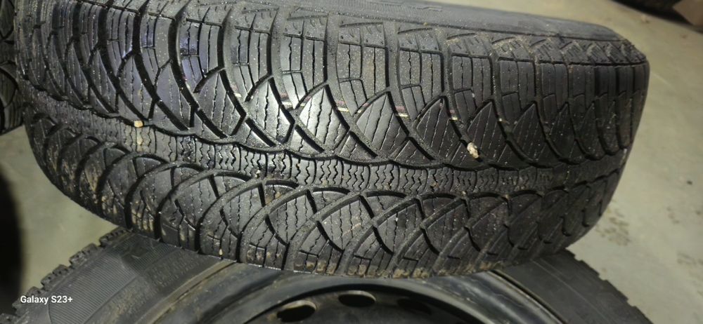 Roti iarna dot 2023 Fulda