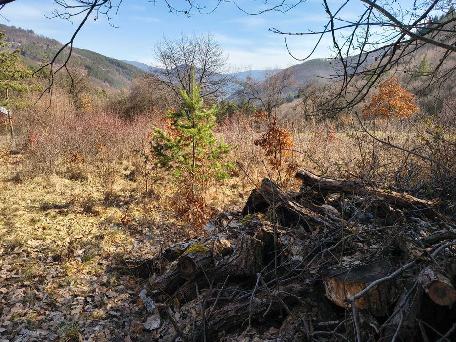 Панорамен парцел – Свидня в.з."Герова леска" ОТ СОБСТВЕНИК
