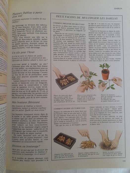 Votre jardin : 1000 questions, 1000 réponses