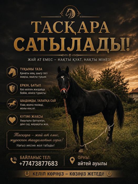 Продам  лошадь жеребца