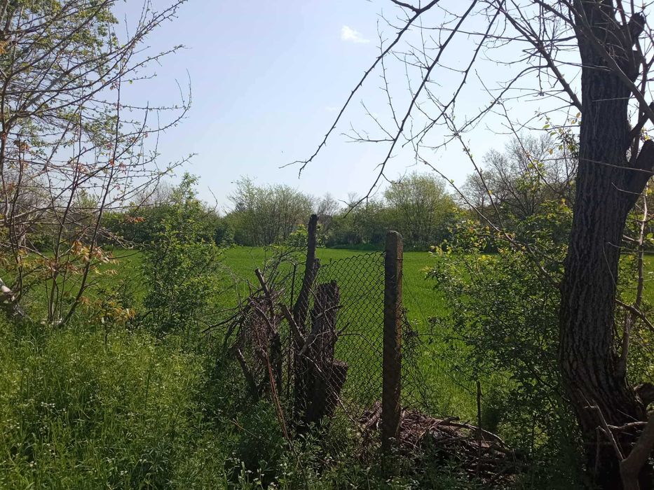 Продава се Парцел в Монтана, Идеален център - 1900 кв.м за 11 €/кв.м - Снимка #1