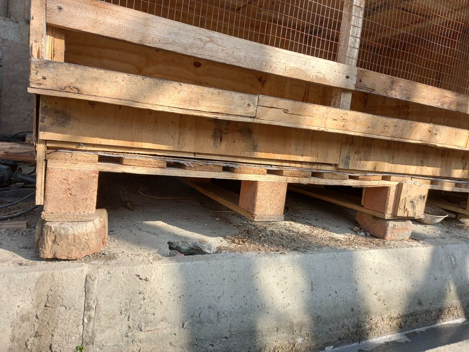 Tuvuq uchun katak sotiladi