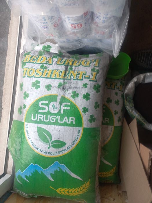 Жоңышқа ұрық бар