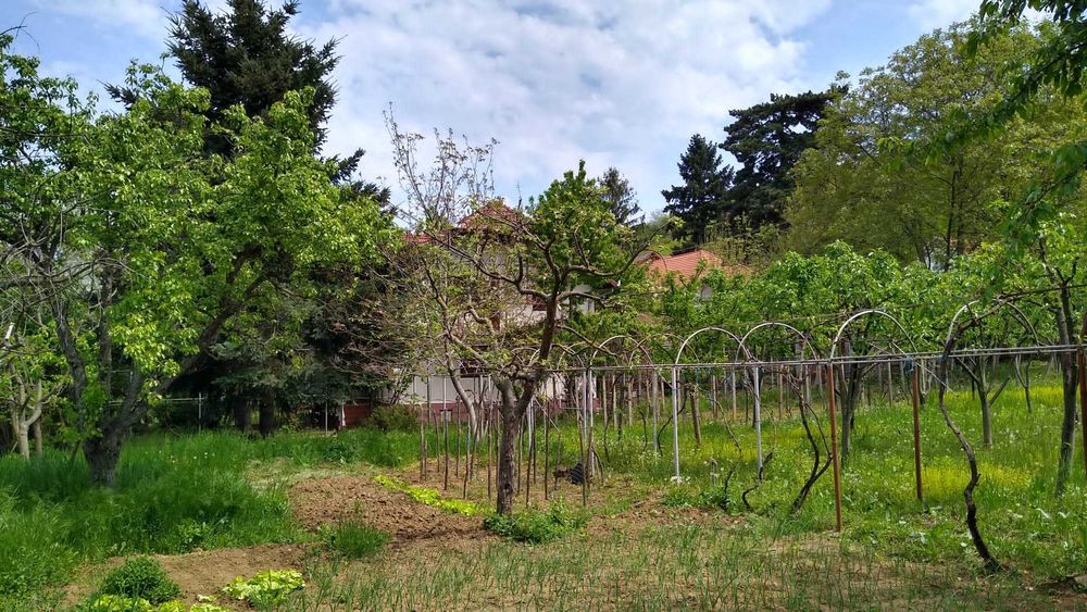 Casa de vanzare in Cuvin com. Ghioroc jud Arad