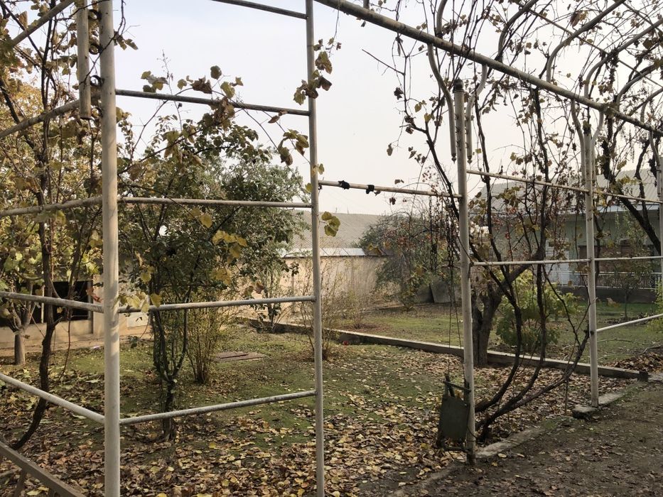 Наманган шахрида 10 соток ховли сотилади