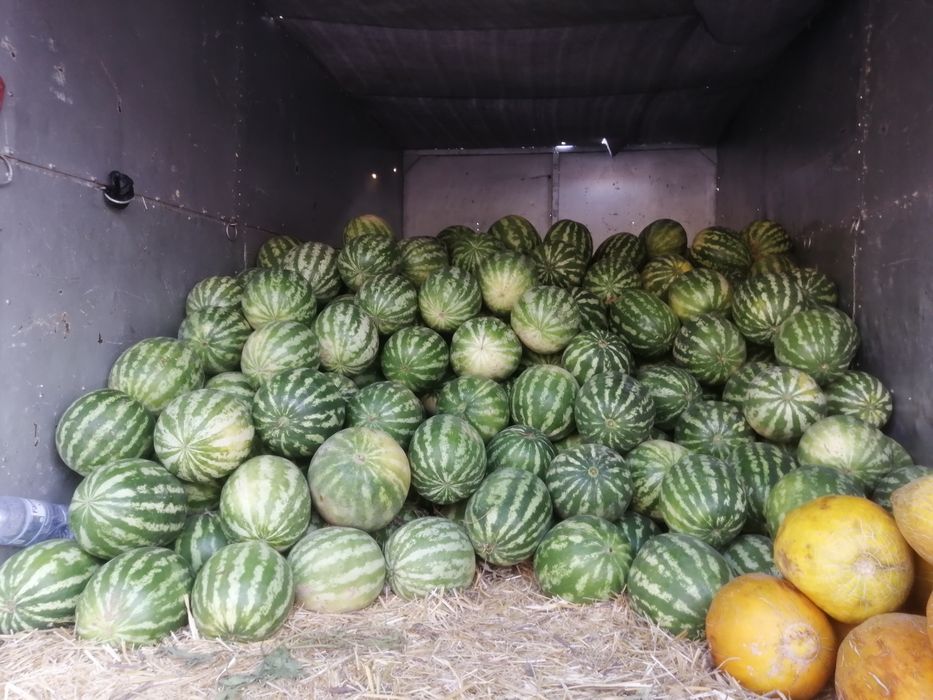 Йук ташиш хизмати, грузоперевозки, Yuk tashish.