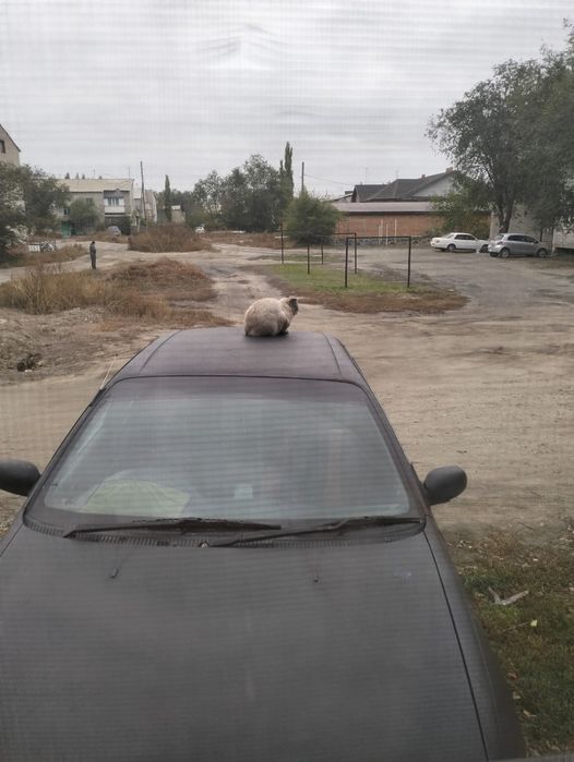 Продам тайоту карина