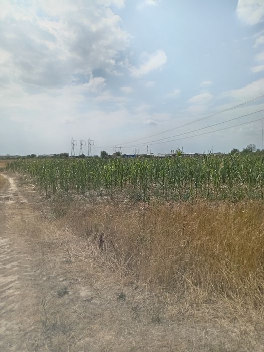 Teren în Osorhei