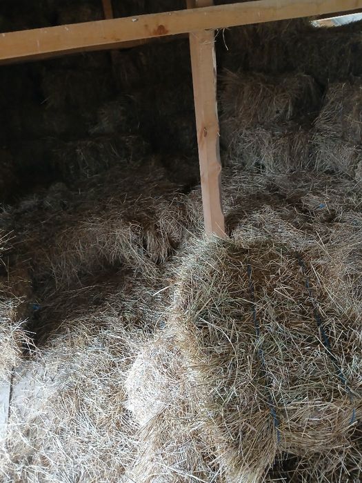 De vânzare baloți  paie ovăz și făn