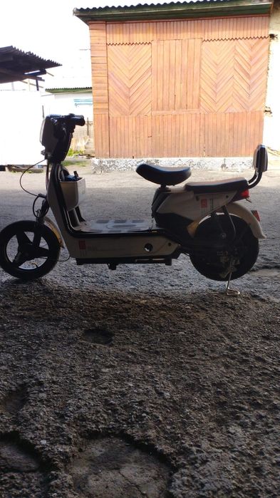 Мапед                             `