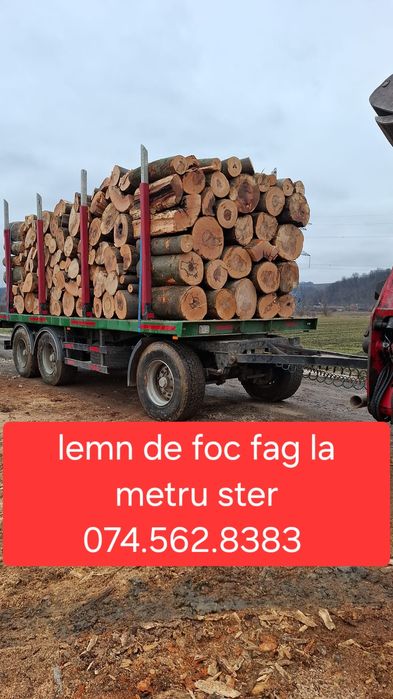 Lemn de foc - fag