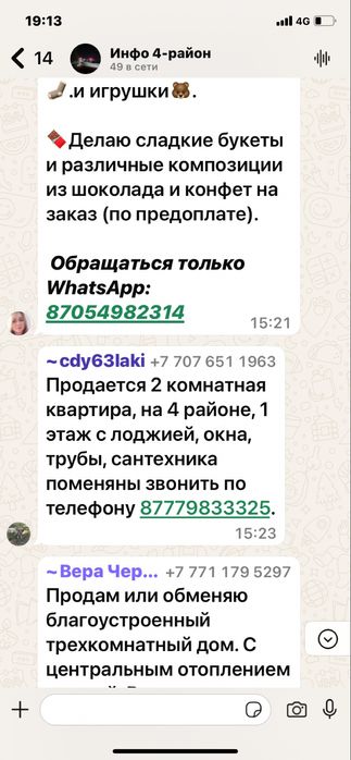 Мальчик мальтезе мини бэбифейс