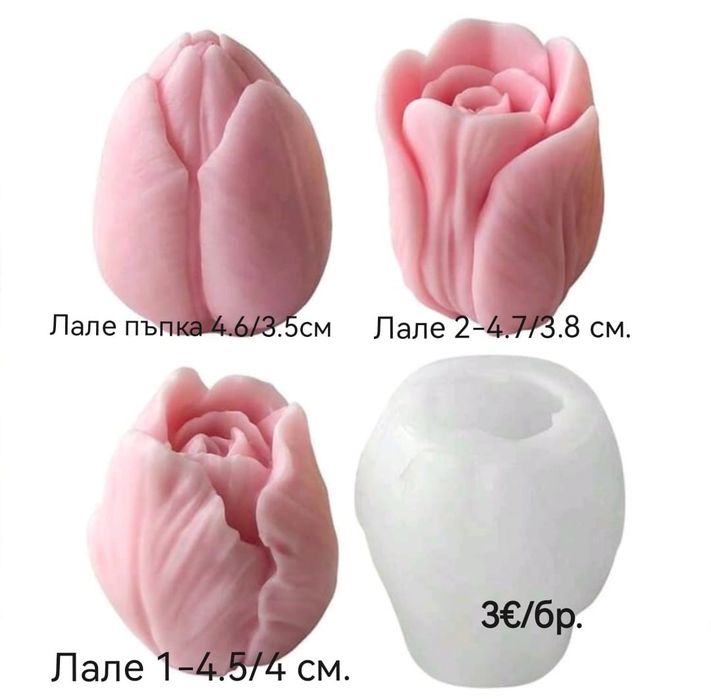 Нови модели молдове