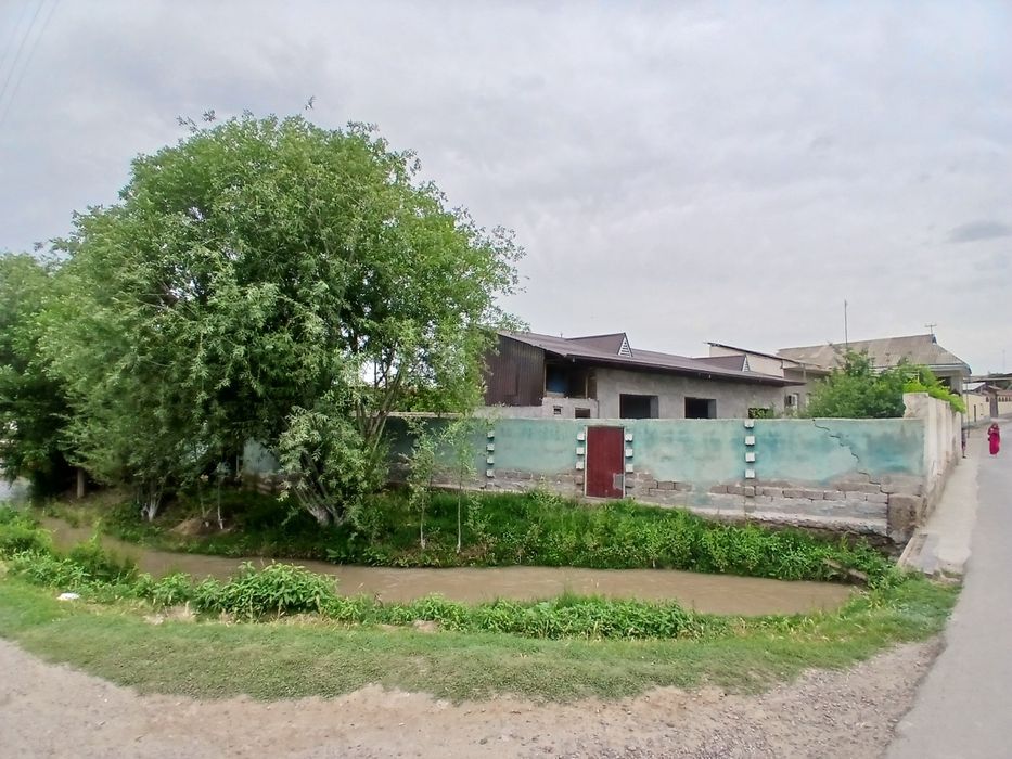 Toshkent viloyati chinoz tumani guliston kochasi 86-uy