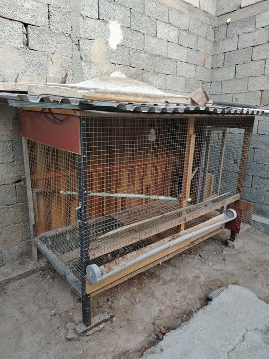 Tovuq katak sotiladi