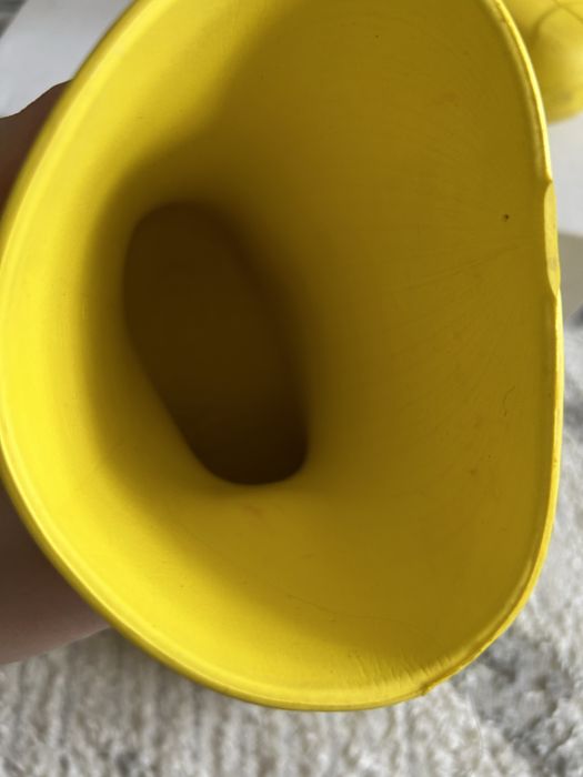 Продам резиновые сапоги детские