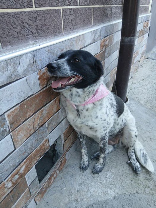 Девочка ждет своего человека!