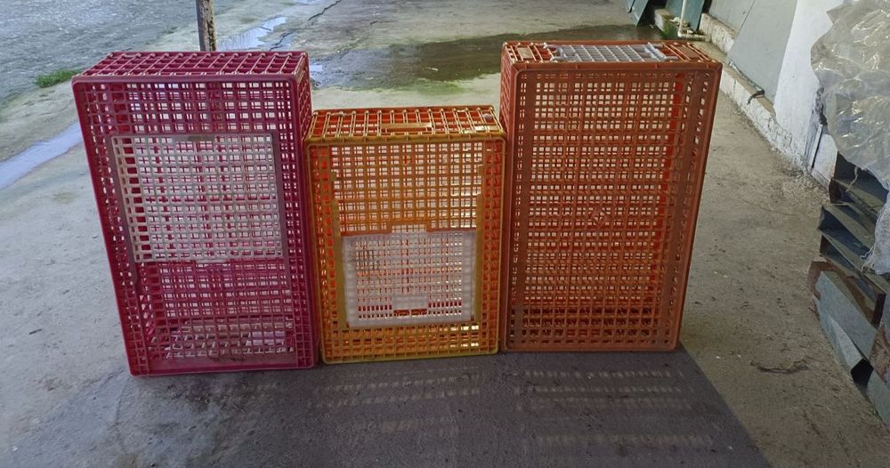 Ящик пластмассовый для перевозки животных