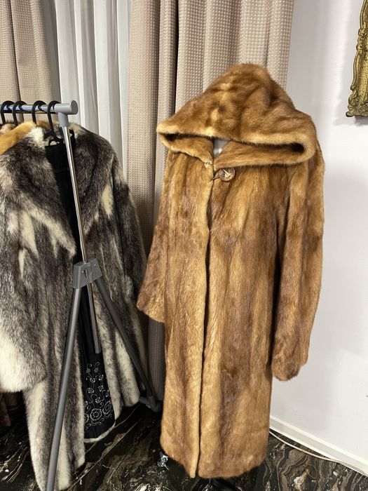 Vizon Mustela, SAGA MINK