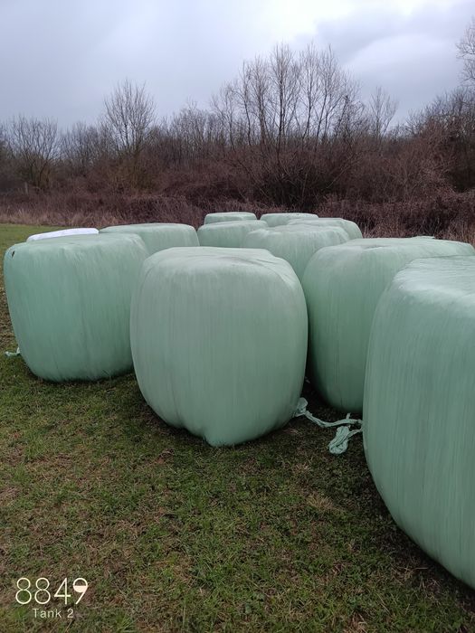 Baloti de lucerna foliatoi