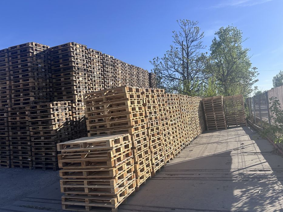 Paleti CP1 1000x1200 si alte tipuri de paleti din lemn