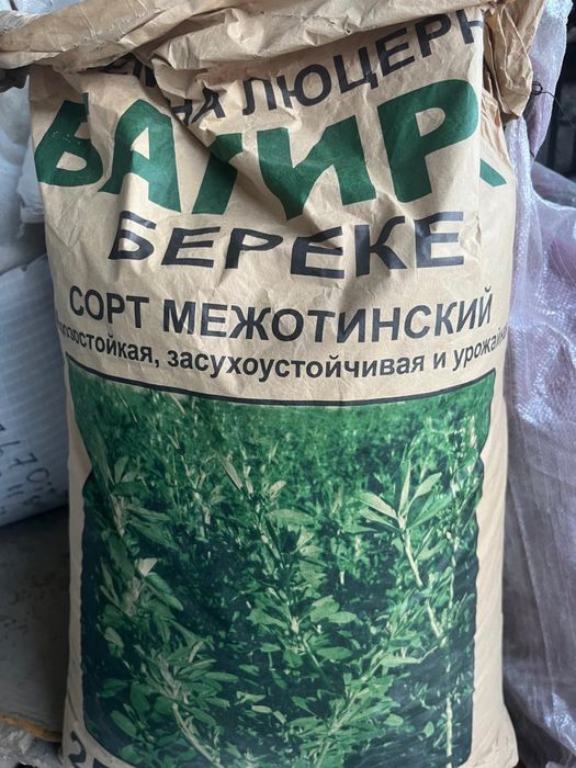 Жонашқа ұрық ,жүгері ұрық таза