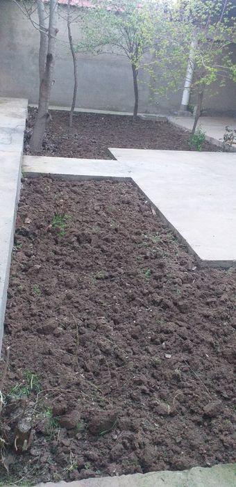 Hovli sotiladi 6 xonali 5.5 sotix