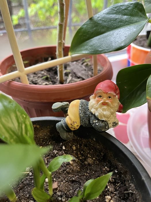 Урашения и сувенир