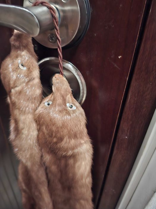 vand guler pereche nurci