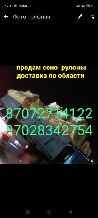 Продам сено в рулонах
