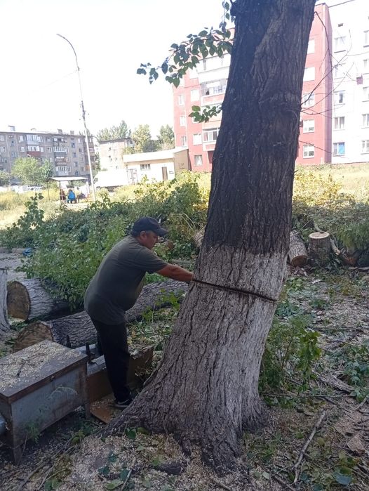 Спил деревьев подрезка веток