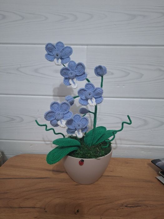 Неувяхващи орхидеи