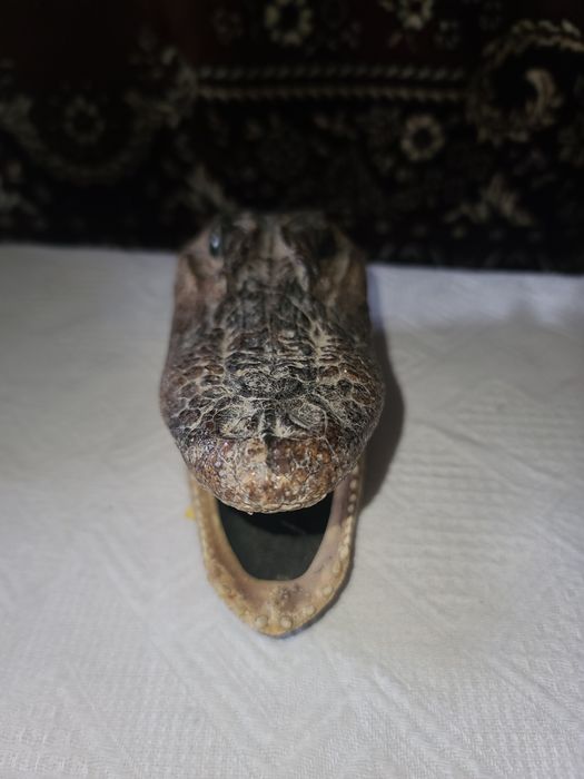 Чучело крокадила.