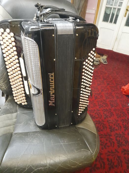 Acordeon harmonica